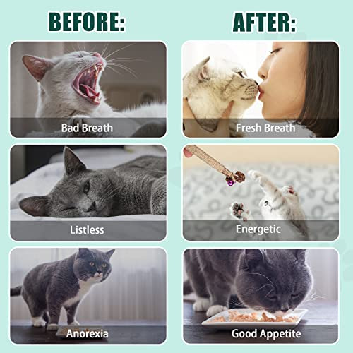 4 Piezas De Juguetes Para Masticar Gatitos Para La Dentició