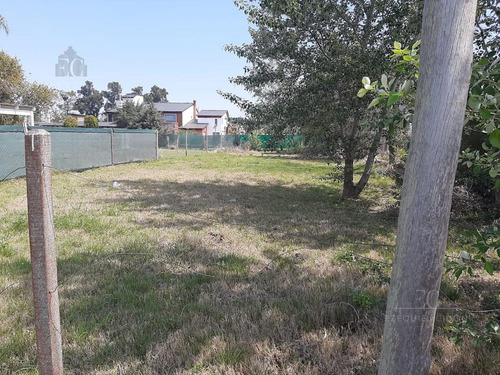 Imagen 2 de 4 de Terreno - Funes
