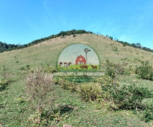 Imagem 18 de 29 de Fazenda Medindo 103 Alqueires Paulista No Vale Do Ribeira Sp Ref.: 0372