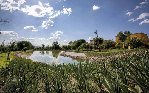 Terrenos En Venta En San Miguel De Allende Desde: 370 M2, Y 