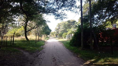 Imagen 3 de 3 de Terreno A 100mts. De La Ruta. Gran Arboleda