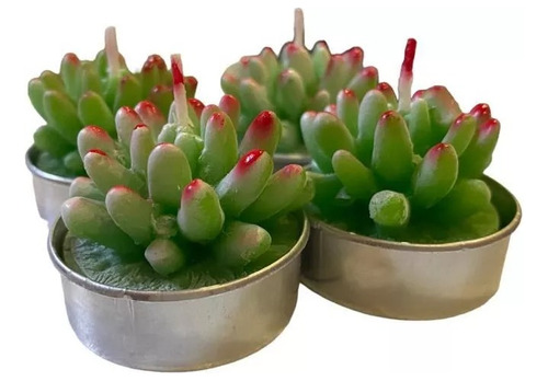 Juego 4 Velas Aromáticas Decorativas Suculentas Cactus