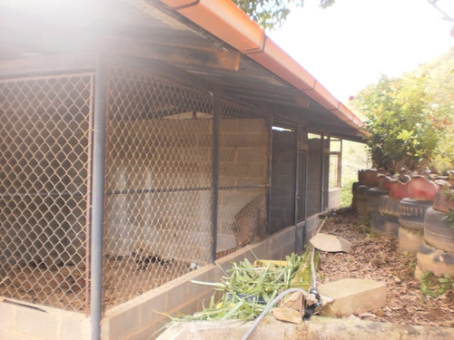 Imagen 7 de 14 de Finca 70 Hectareas Mun Tovar Aragua