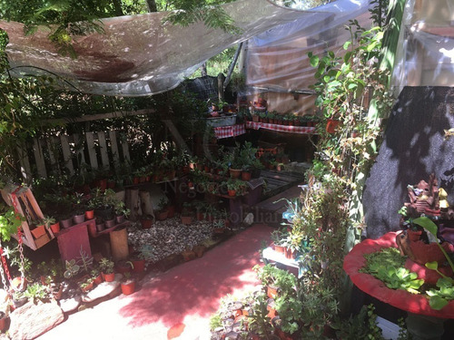 Imagen 7 de 30 de Casa + Vivero En Balneario Argentino