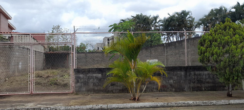 Imagen 4 de 4 de Terreno En Venta Urbanización Bello Campo, Calle Principal