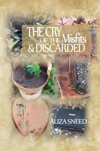 The Cry Of The Misfits And The Discarded, De Sneed, Aliza. Editorial Lightning Source Inc, Tapa Blanda En Inglés