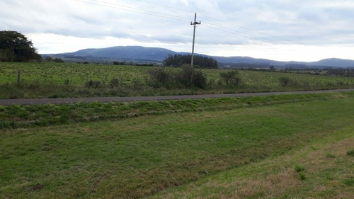 Campo De 6 Has 932 M 2 Ubicado En Ruta 60