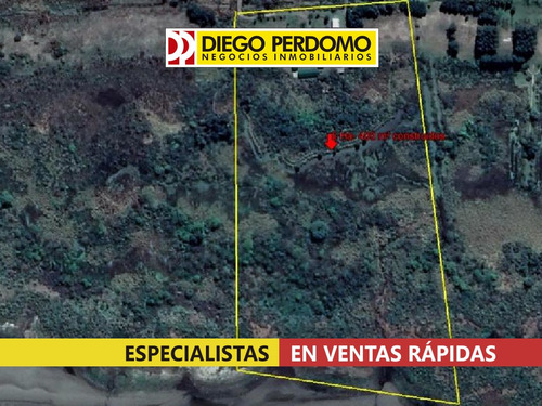 Imagen 11 de 15 de Chacra De 5 Ha En Venta En Ciudad Del Plata.