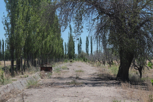 Imagen 20 de 30 de Vendo Finca 57 Hectareas Con Dos Perforaciones En Goudge- San Rafael