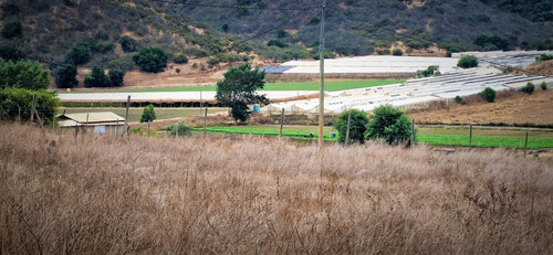 En Venta Parcela De 7.500 M2., En El Huape, Manzanar, Quillo