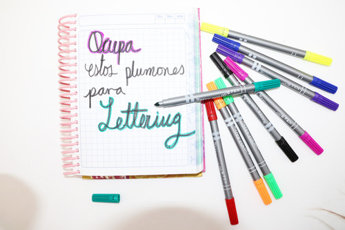 40 Plumon Colores Plumin Dos Puntas Agua Papeleria Escuela