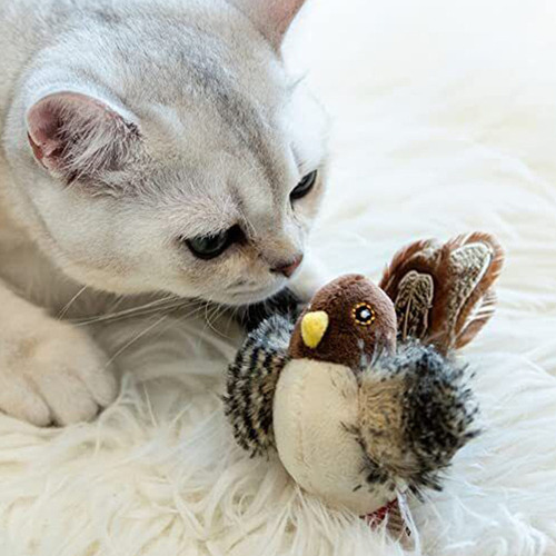 Qj 2 Juguetes For Gatos Cogidos Pájaros Gato Interactivo