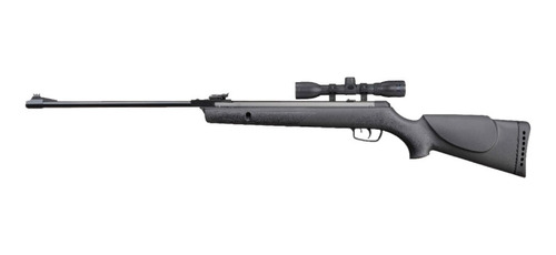 Rifle Gamo Resina Big Cat 1000-e Igt 5,5mm