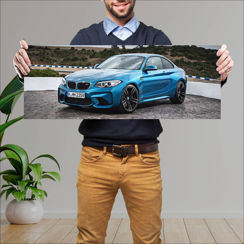 Cuadro 30x80cm Auto 2015 Bmw M2 Coupe  311