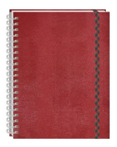 Cuaderno Profesional Vinipiel Tipo Cobra 100 Hjs Pasta Dura 