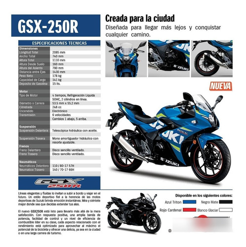 Imagen 4 de 4 de Suzuki Gsx250