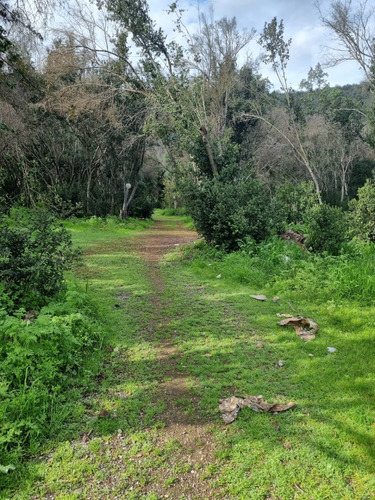Se Vende Parcela A Orillas De Laguna De Aculeo