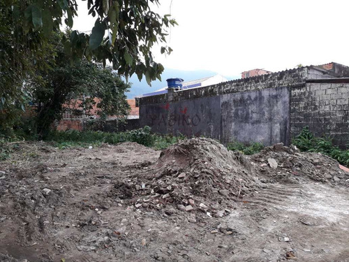 Imagem 3 de 3 de Terreno Em Bertioga, No Bairro Parque Estoril. - V386