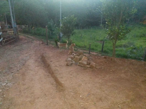 Imagem 6 de 9 de Chácara Com 2000 Metros, Água Luz, Casa,troca Em Casa