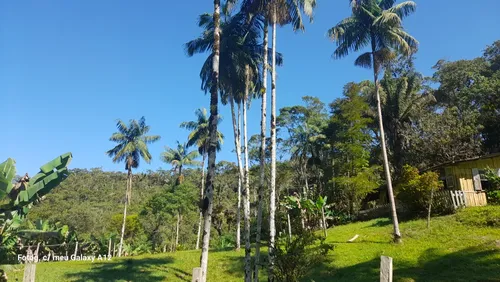Sitio Com Casa E 30.000 M2 Com Escritura E Documentação Ok