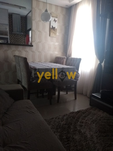 Imagem 5 de 13 de Apartamento - Vila Alzira - Ap-802