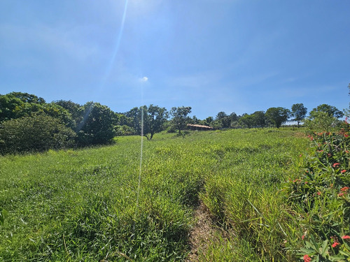Lindo Sítio Com 22.000m2 - Oportunidade