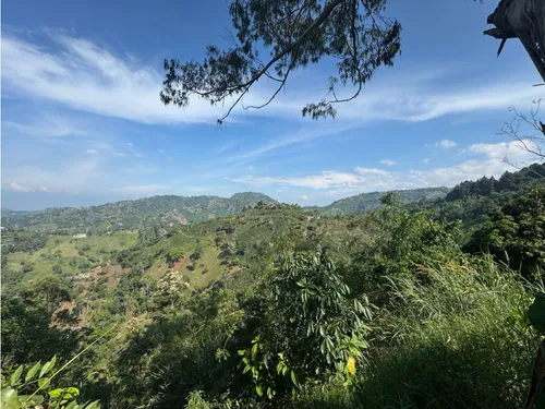 Lote En Venta En Vereda La Aurora Manizales | Venta Terreno
