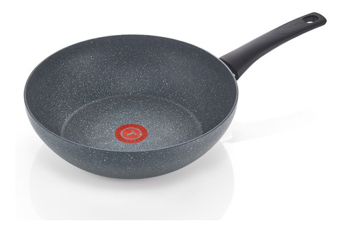 Wok 28cm Chef Delight Ind T-fal 2100110359 T