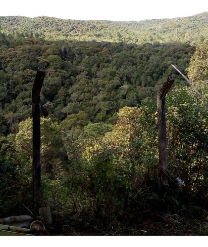 Chácara No Embura 4004 Mts