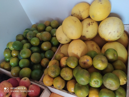 Imagem 4 de 5 de Frutas E Verduras