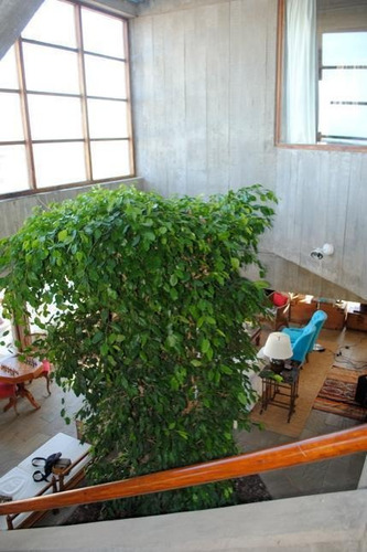 Imagen 17 de 30 de Sublime Casa De 3 Plantas 6 Ambientes Frente Al Mar En Punta Piedras