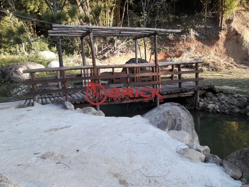 Sitio - Bonsucesso - Ref: 68088979 - V-st00161