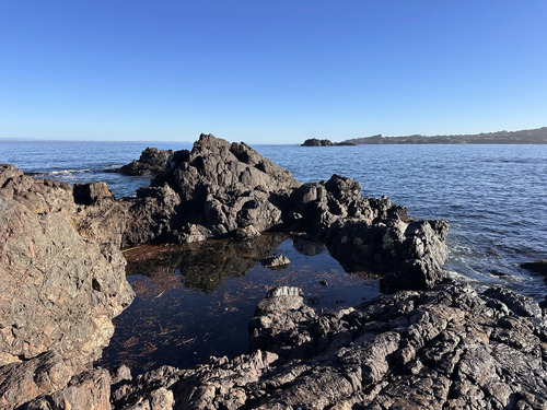 Parcela Plana 5000mts2 A 5min Caleta Totoralillo