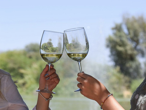 Caja De 12 Piezas Vino Blanco Décima Sauvignon Blanc 750 Ml