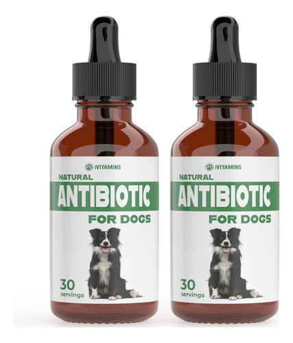 Antibioticos Naturales Para Perros | Antibioticos Para Perro