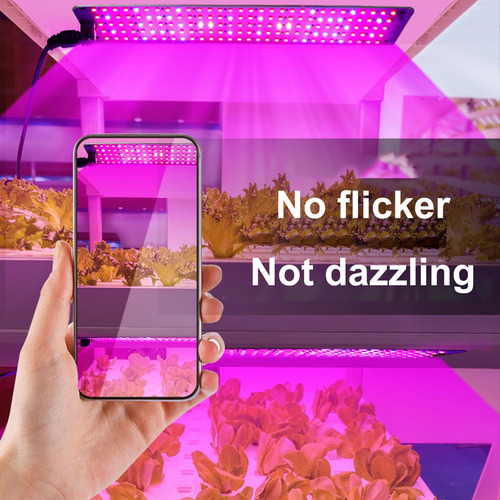 Lámpara De Crecimiento, Panel Completo, Bloom Grow Light, Pl