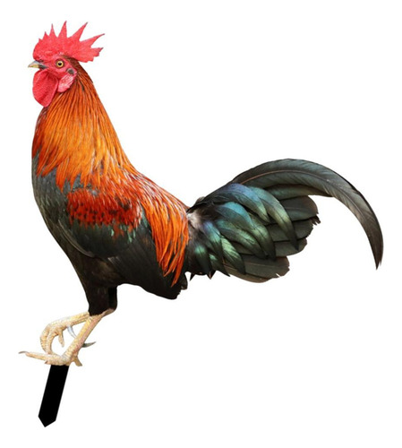 Mz Estacas De Jardín Con Estatua De Animales De Gallo,
