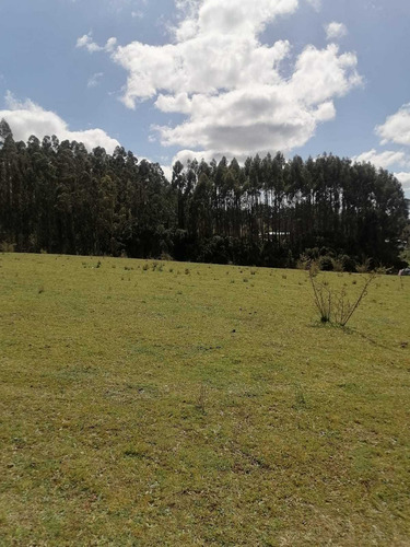 Comuna De La Unión Región De Los Ríos (71774)