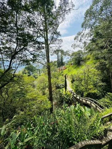 Finca En Venta En El Limonar