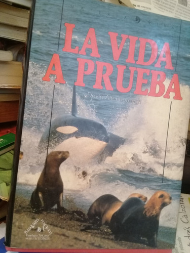 La Vida A Prueba David Attenborough