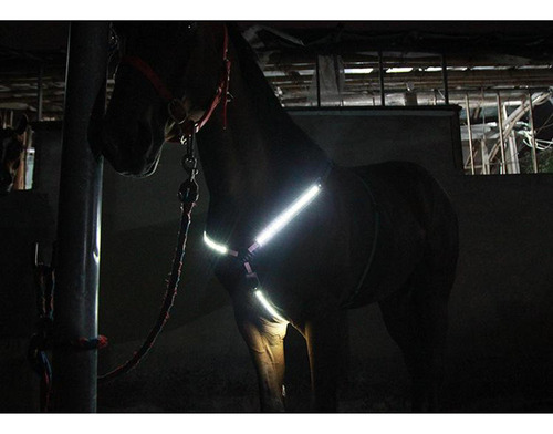 Equipo De Seguridad Ajustable Para Montar A Caballo Por La