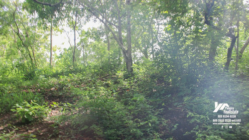 Imagen 11 de 11 de Vendo Finca En Remate En Masaya