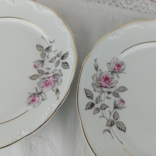 Platos Llanos Porcelana Schmidt Antiguos Con Flores Miralos