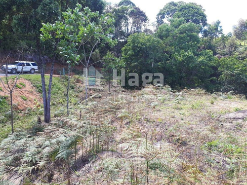 Imagem 23 de 26 de Chácara À Venda Em Canelinha/sc - 1026c