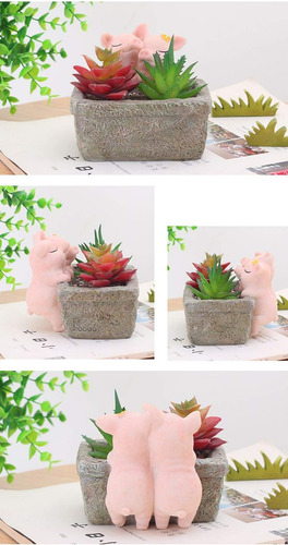 Maceta Para Decoración Del Hogar, Maceta Suculenta De Cerdo,