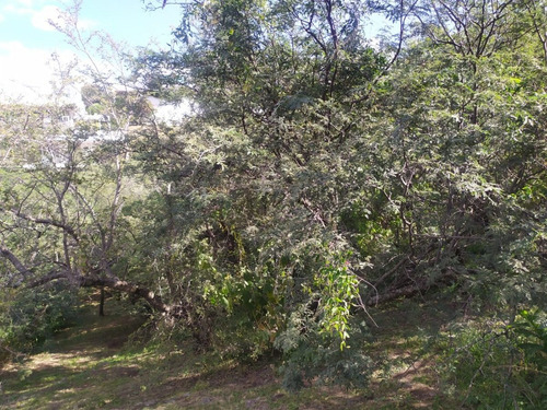 Imagen 11 de 12 de Lote 1250 M² - Barrio Cerrado La Rufina