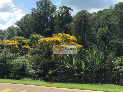 Terreno À Venda, 800 M² Por R$ 550.000,00 - Jaguariuna - Jaguariúna/sp - Te0748