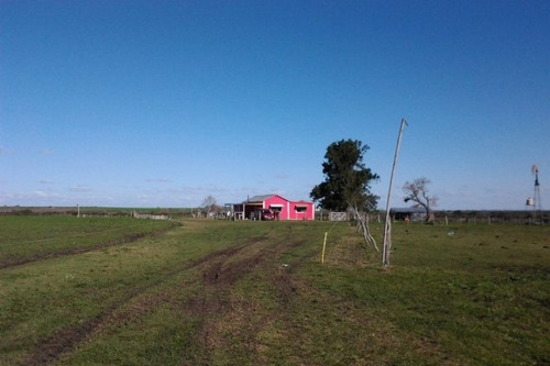 Imagen 11 de 14 de Campo En Venta En Concepcion Del Uruguay