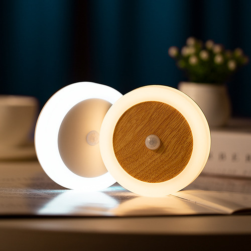 Luz Con Sensor De Luz, Carga Usb, Sensor De Cuerpo Humano