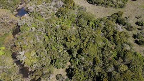 Imagen 11 de 14 de 5has Chacra Lavalleja Fraccionamiento Aguas Blancas (ref: Atm-6837)